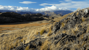 ����� ������� ���������