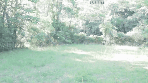  ������, ������ � ������