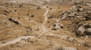  �������� �����