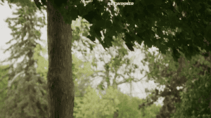 ������ � ������� �����