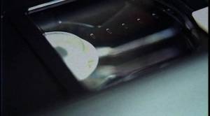 ������ ����� � ���: ���������� ������ �������