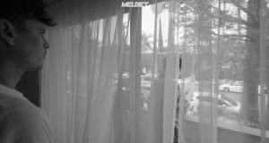 ׸���� ������