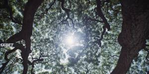 ����� �� ���� / ����� ����� ����