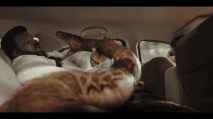 � �����!