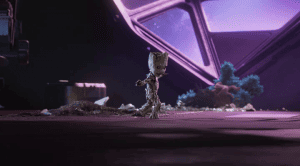 � ���� ����