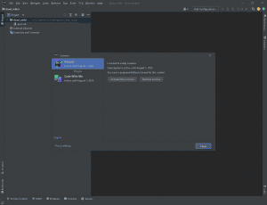  JetBrains GoLand 2022.2 [En]