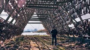 ���������� �������