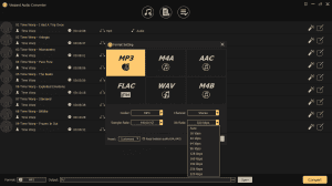 ViWizard Audio Converter 3.9.0.59 [Multi]
