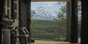 ������� � ���������