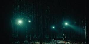 �����������: ������� � ��������