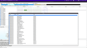 IDA Pro 7.7 + IDA Pro 8.3 [x86_64] (cxarchive)