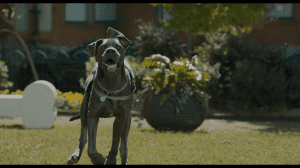 �������� ��������