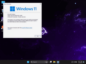 Windows 11 PRO 23H2 22631.3593 Update 9 by Ghost Spectre x64 [En]