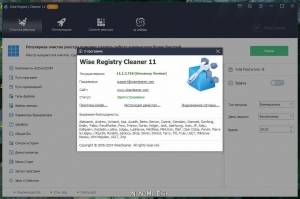 Wise Registry Cleaner Pro 11.1.3 (����� Giveaway) [Multi/Ru]