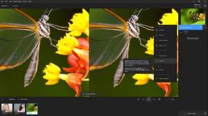 Topaz Photo AI 3.3.3 (x64) [En]