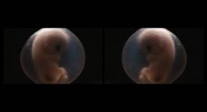 ���� �����