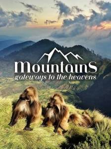 ����: �������� �����