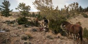 �������� ������� ��� 