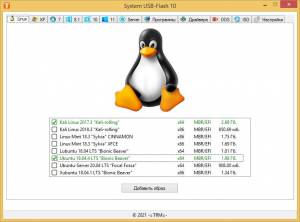 System USB-Flash 10 v.17.0.0.8383 [Multi/Ru] 