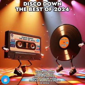  VA - Disco Down The Best of 2024