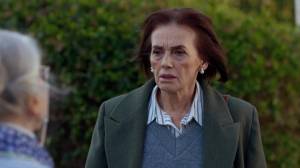 ����� ����