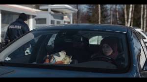 �������� ����