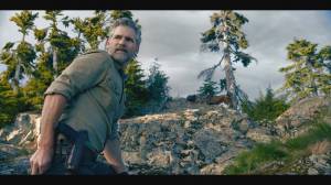 � ����� / �����������