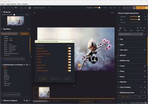 Radiant Photo 2.1.0.756 [Multi/Ru]