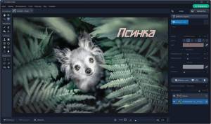 AMS ���������� 4.5 [Ru]