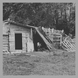  The Morning Bird - Dying Since The Day I Was Born