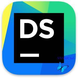 JetBrains DataSpell 2025.2.2 (x64-arm64) Repack by IDE`a [En]