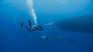 NG. � ���� ��������� � ����� �������