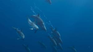 NG. � ���� ��������� � ����� �������