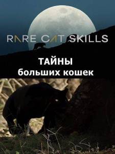 ����� ������� �����