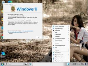 Windows 11 23h2/24h2/25h2 by SURASOFT (v25.11.11) [Ru]