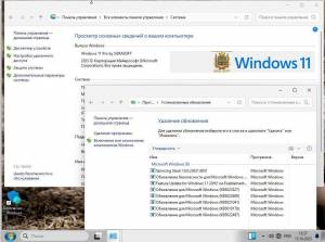 Windows 11 23h2/24h2/25h2 by SURASOFT (v25.11.11) [Ru]