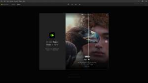 Topaz Video 1.0.5 RC RePack by elchupacabra [En]