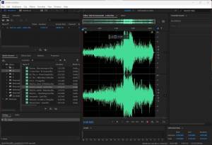 Adobe Audition 2025 25.6.0.97 [Multi]