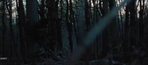 ���� �� ������ 