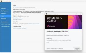 JetBrains dotUltimate 2025.2.3 [En]