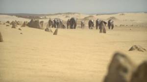 �������������� �������