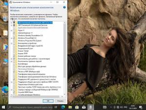 Windows 10 surasoft 19044.6691-19045.6691 22H2v25.12.09(x64.iso)[RU]