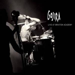  Gojira - Les Enfants Sauvages [Live at Brixton Academy, London, UK 3/29/2013]
