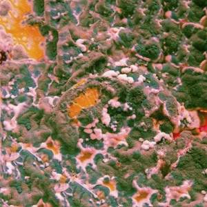  Marika Hackman - Sugar Blind EP