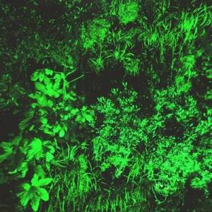  Marika Hackman - Deaf Heat EP