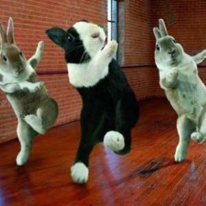  VA - ������������ ���� Vol.2