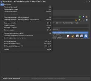 Bulk Image Downloader 6.63 [Multi/Ru]