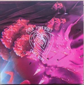 Arcade Fire - Open Your Heart or Die Trying