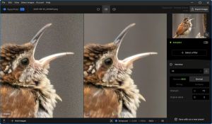 Topaz Photo Pro 1.5.1 [En]