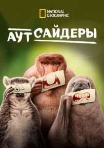NG. ����������
